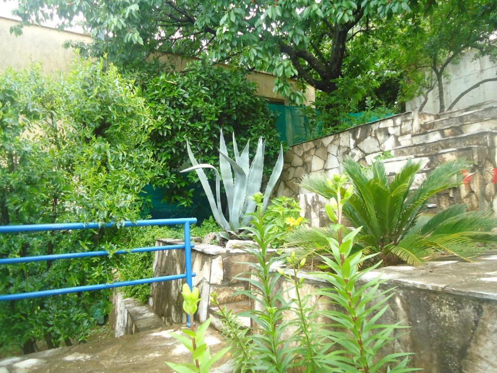 Apartments Villa Petranovic Budva Habitación foto