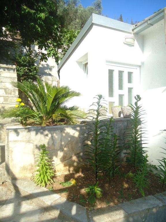 Apartments Villa Petranovic Budva Habitación foto